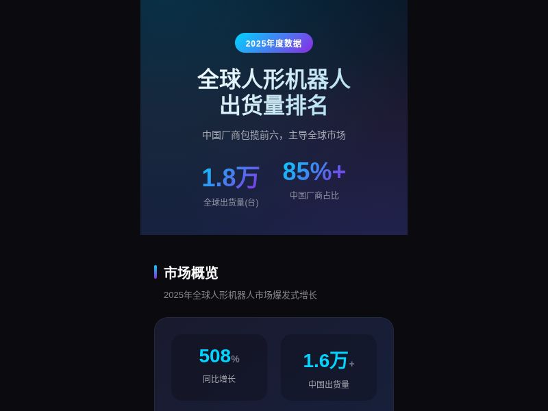 2025全球人形机器人出货量排名