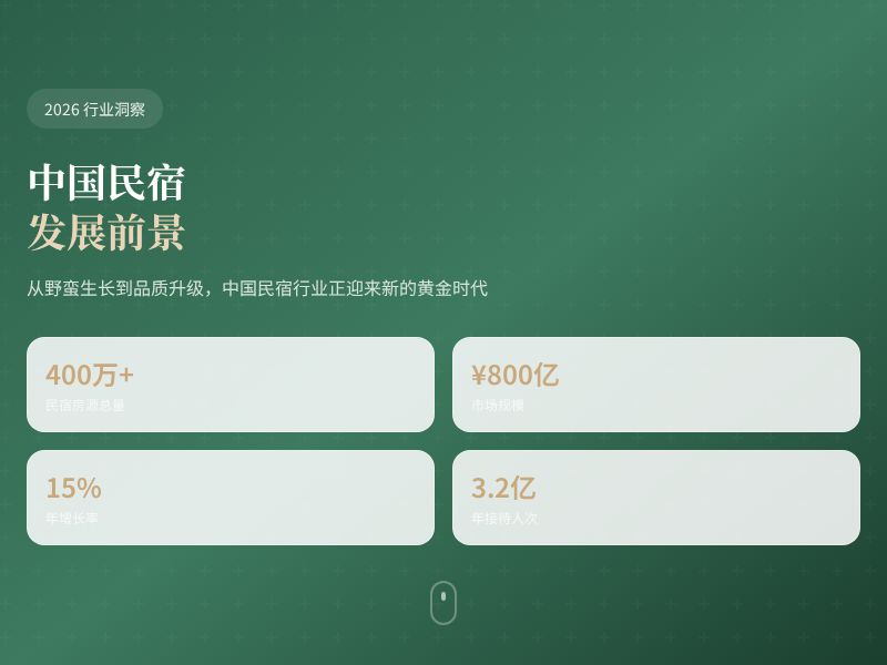 中国民宿发展前景